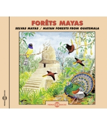 Forets Mayas 