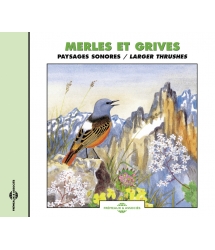 Merles Et Grives - Paysages...