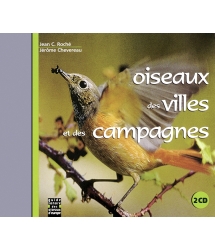 Oiseaux Des Villes Et Des...