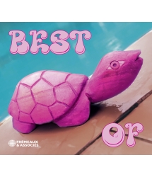 Pink Turtle - Best of